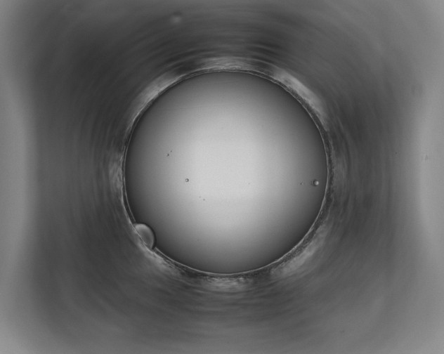 X0000111141049200907071045