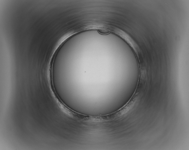 X0000111141050200907071045