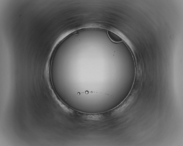 X0000111141053200907071045