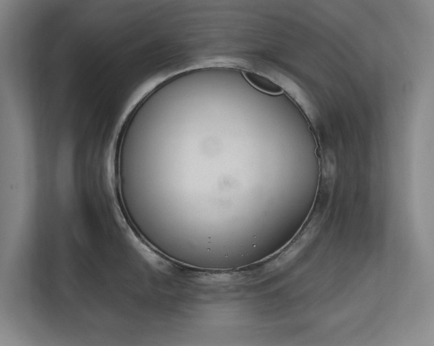 X0000111141054200907071045