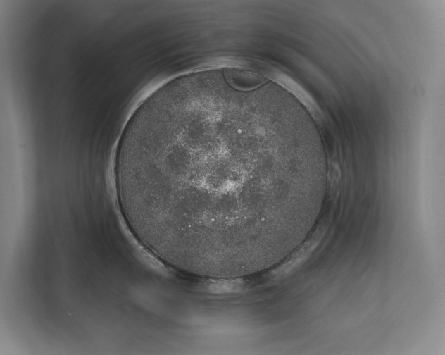 X0000111141055200907071045