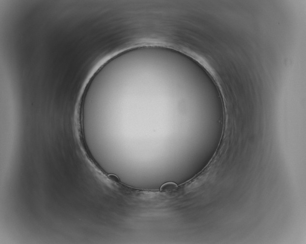 X0000111141056200907071045