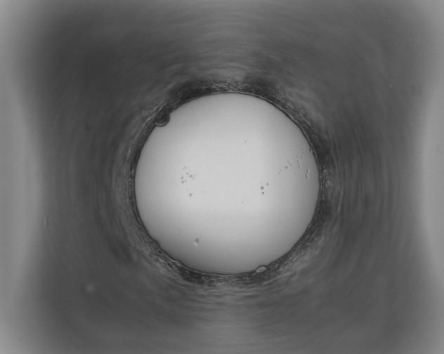 X0000111141057200907071044