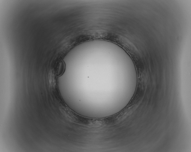 X0000111141058200907071044