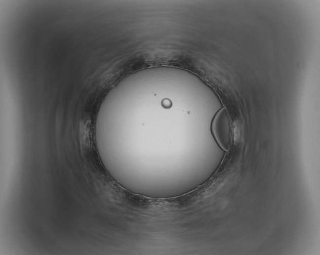 X0000111141059200907071044