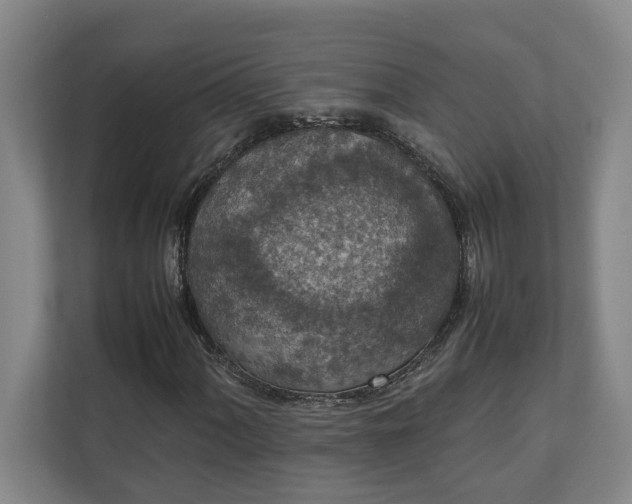 X0000111141060200907071044