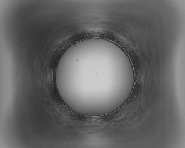 X0000111141061200907071044