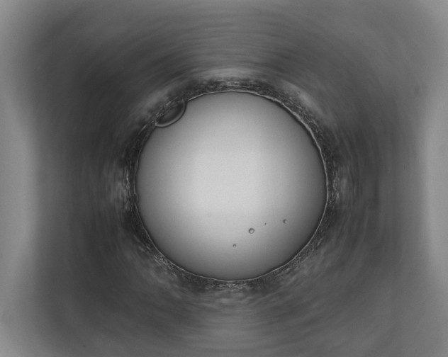 X0000111141062200907071044