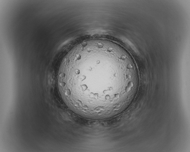 X0000111141063200907071044