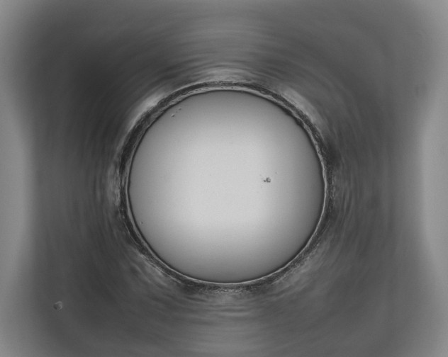 X0000111141067200907071044