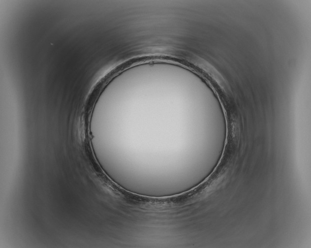 X0000111141069200907071044