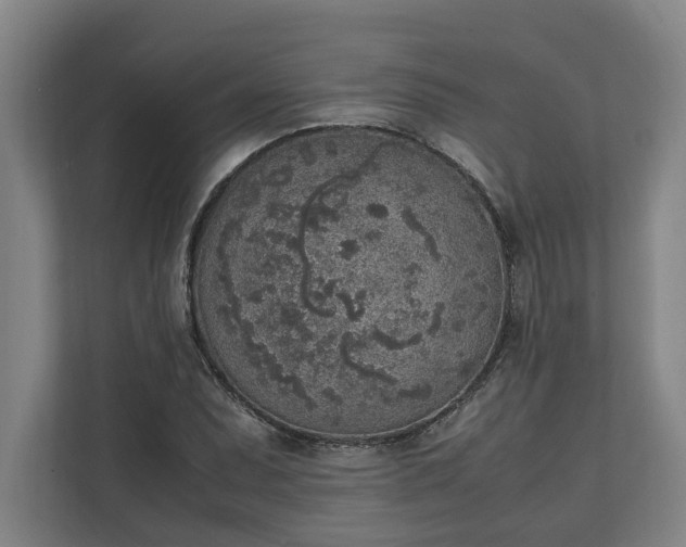 X0000111141071200907071044