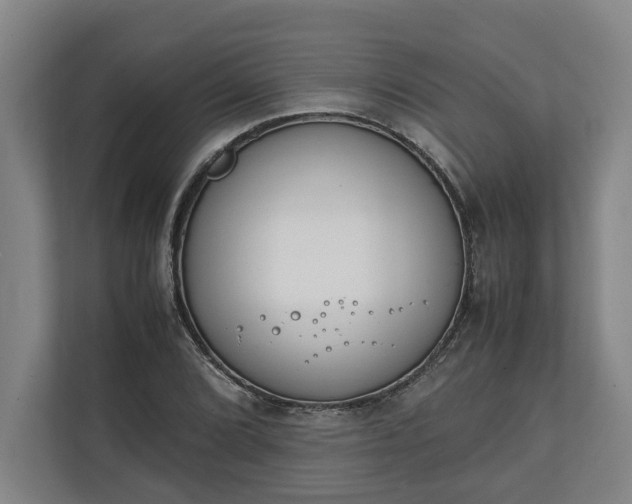 X0000111141072200907071044