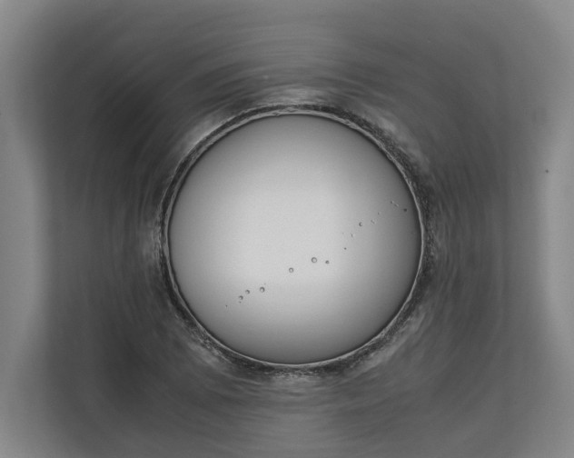 X0000111141073200907071044