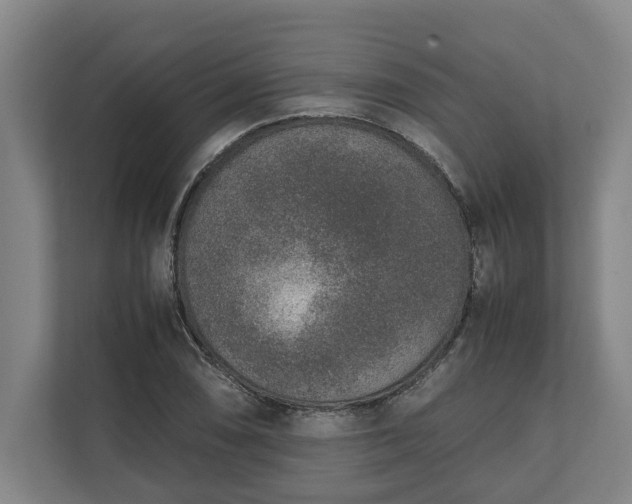 X0000111141074200907071044