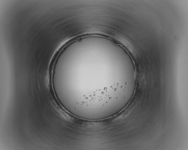 X0000111141076200907071044