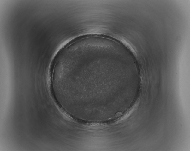 X0000111141077200907071044