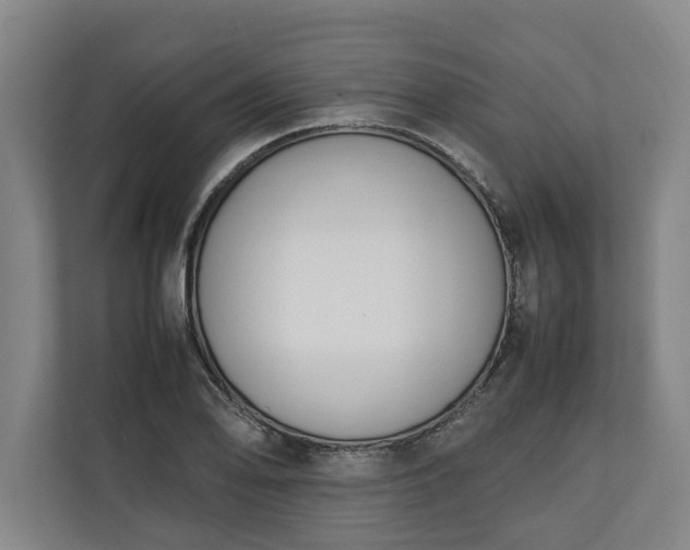 X0000111141078200907071044