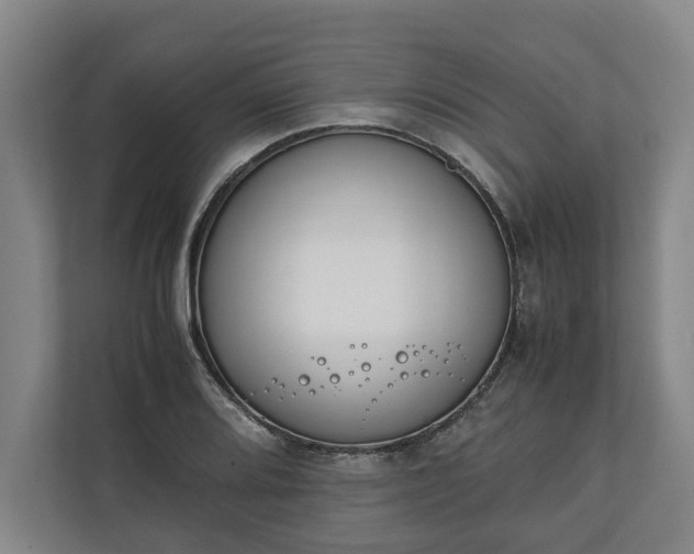 X0000111141080200907071044