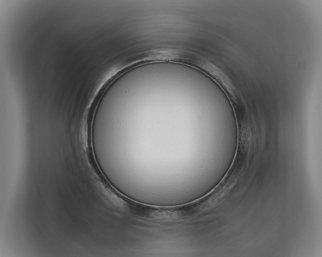 X0000111141083200907071044