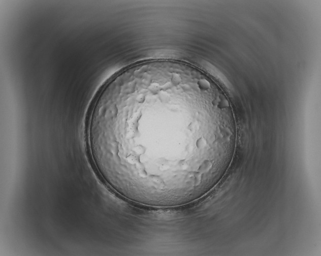 X0000111141087200907071044