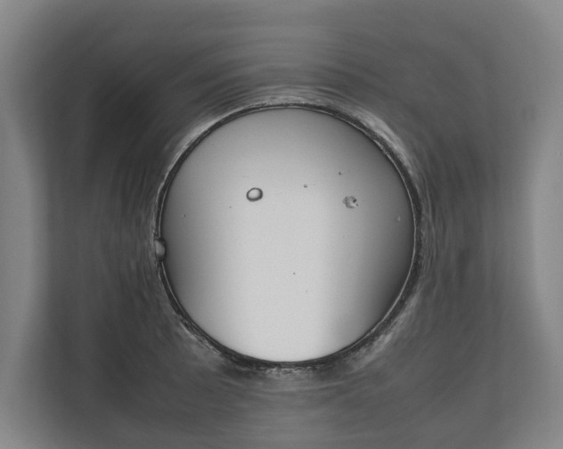 X0000111141089200907071044