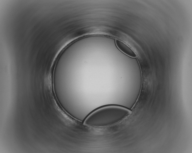 X0000111141092200907071044