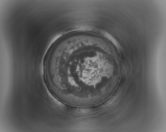 X0000111141095200907071044