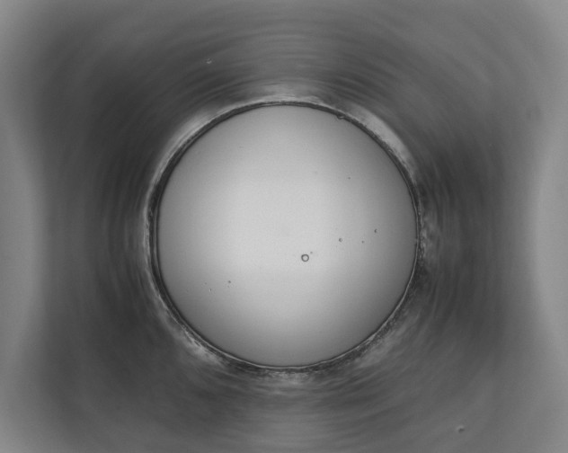 X0000111141096200907071044