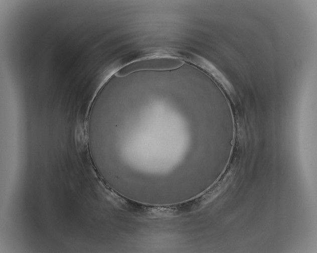 X0000111141097200907071044