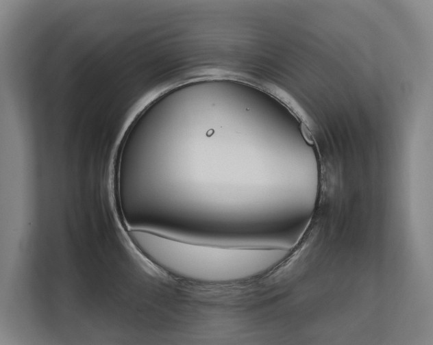 X0000111141098200907071044