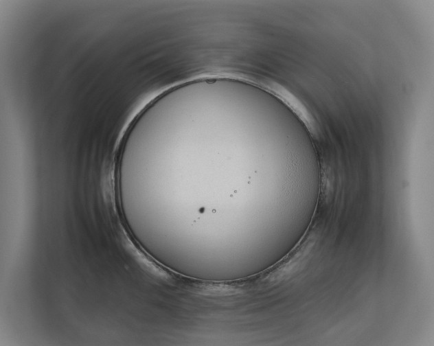 X0000111141100200907071044