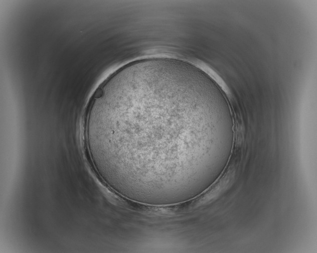 X0000111141101200907071044