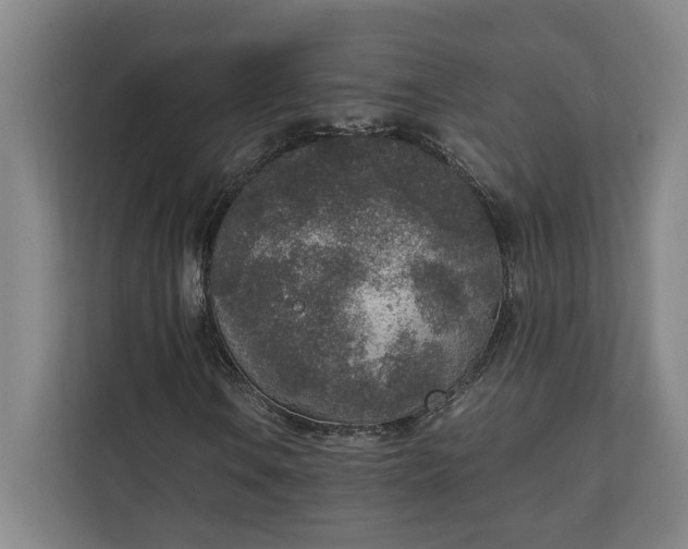 X0000111141106200907071043