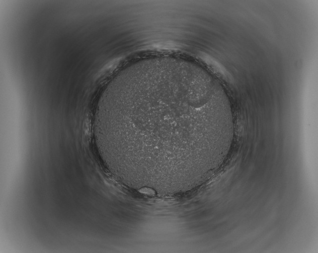 X0000111141110200907071043