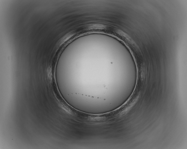 X0000111141113200907071043