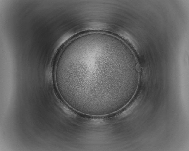 X0000111141114200907071043