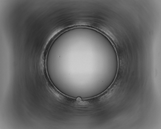 X0000111141119200907071043