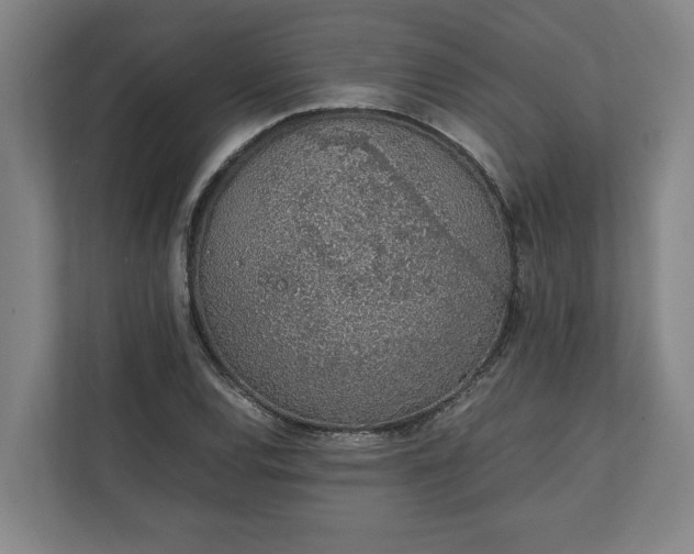 X0000111141120200907071043