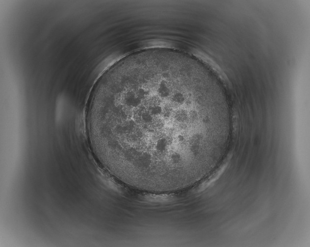 X0000111141121200907071043