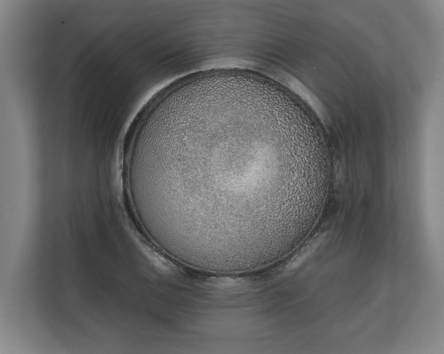 X0000111141124200907071043