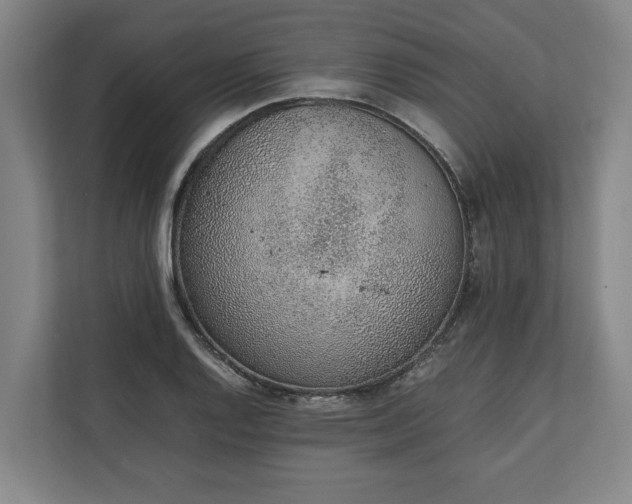 X0000111141128200907071043