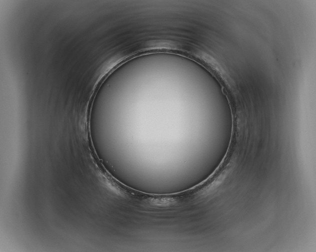 X0000111141129200907071043