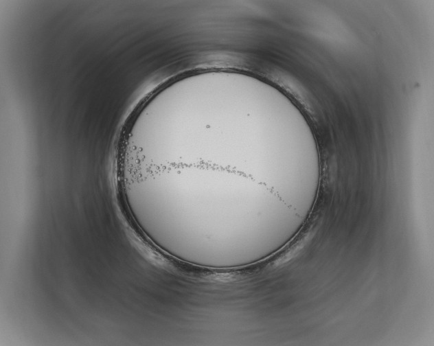 X0000111141130200907071043