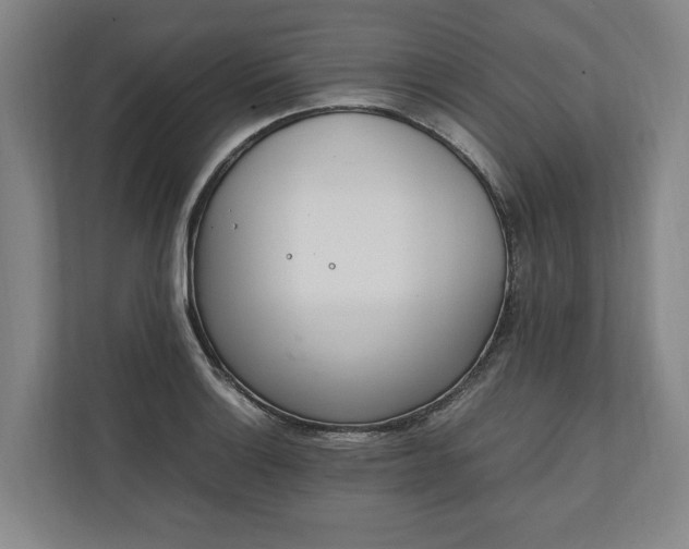 X0000111141132200907071043