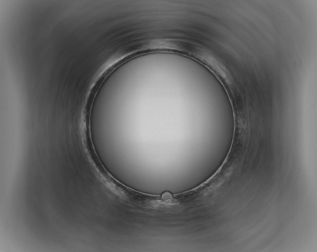 X0000111141133200907071043