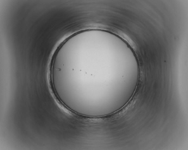 X0000111141136200907071043