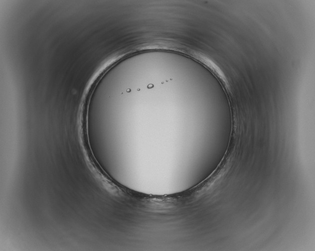 X0000111141138200907071044