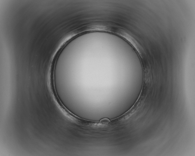 X0000111141139200907071044