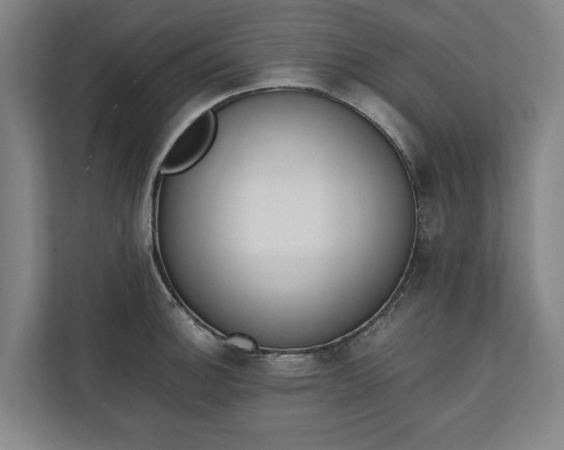 X0000111141140200907071044